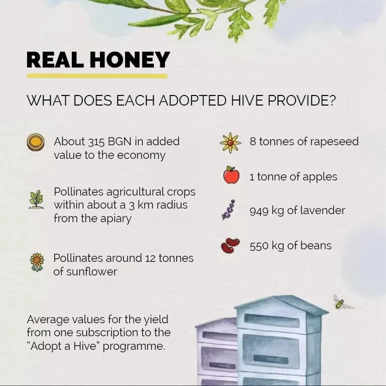 what does each adopted hive provide