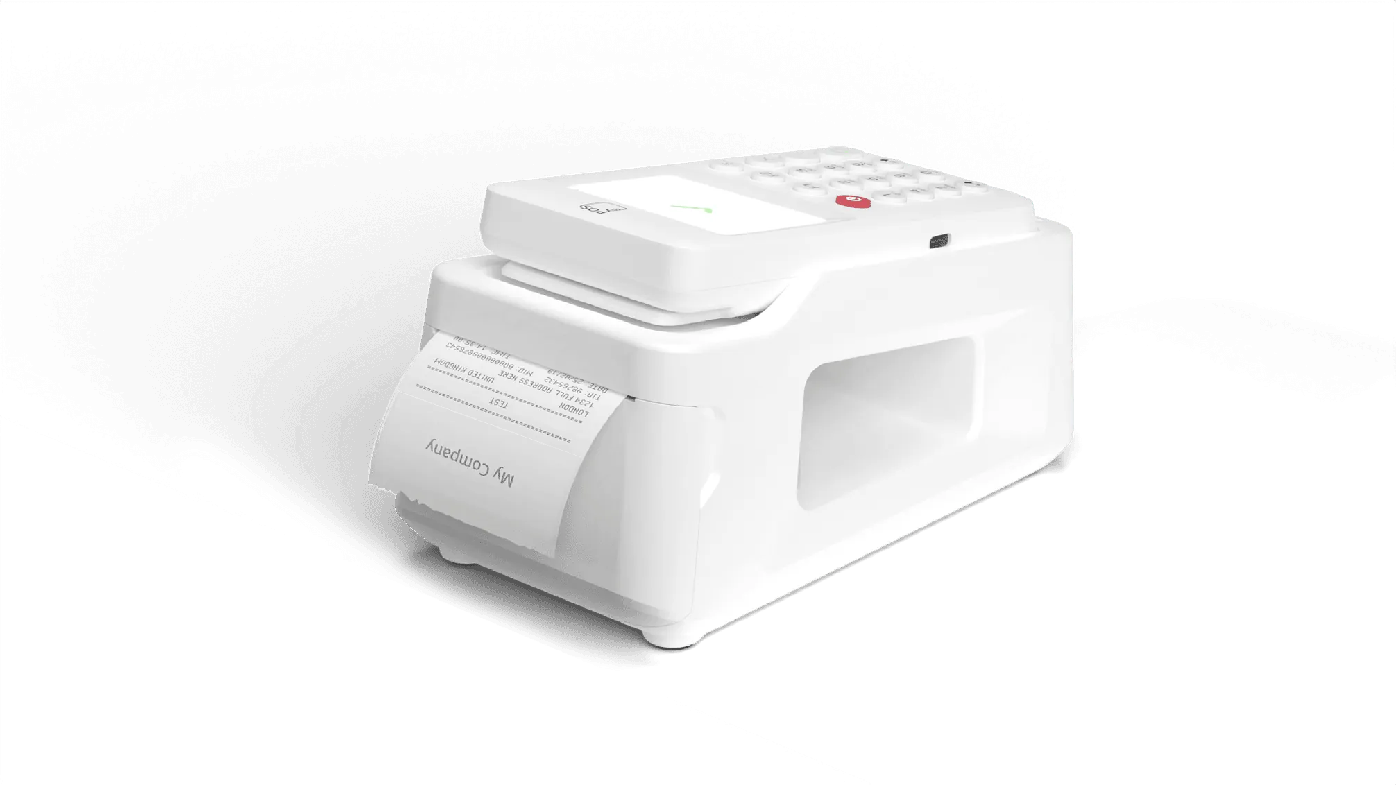 Business person using mobile payment terminal