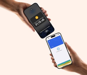 Secure payments and nothing stored