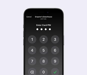 Secure PIN transactions