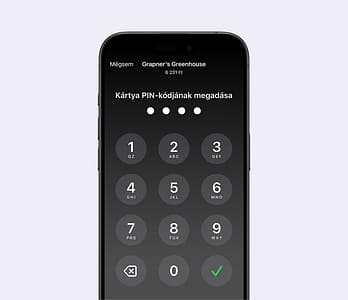 Secure PIN transactions
