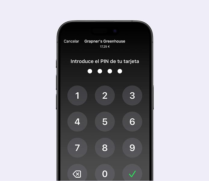 Secure PIN transactions