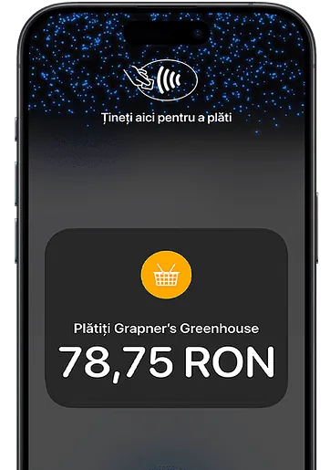 Your customer holds the card the payment symbol