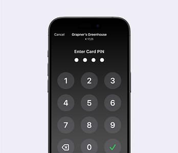 Secure PIN transactions
