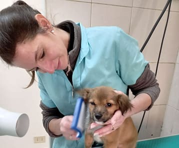 myPOS professional services poster