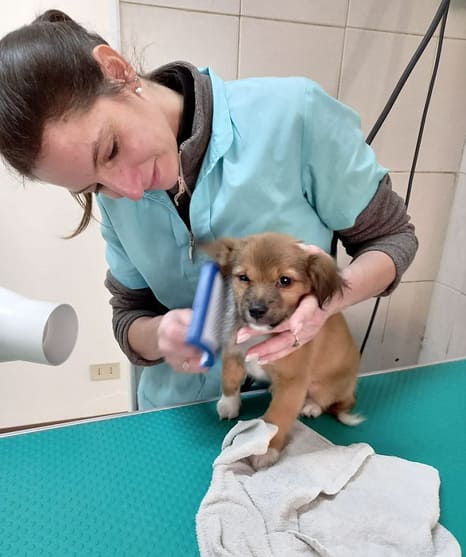 myPOS professional services poster